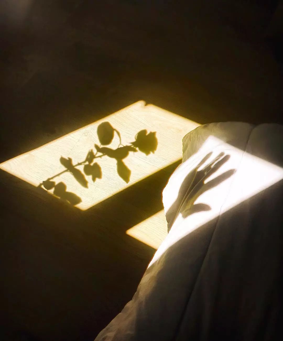 抹茶sun的個人主頁（背景預(yù)覽） - 主頁背景設(shè)置 - 站酷設(shè)計(jì)師抹茶sun原創(chuàng)素材 - 站酷ZCOOL