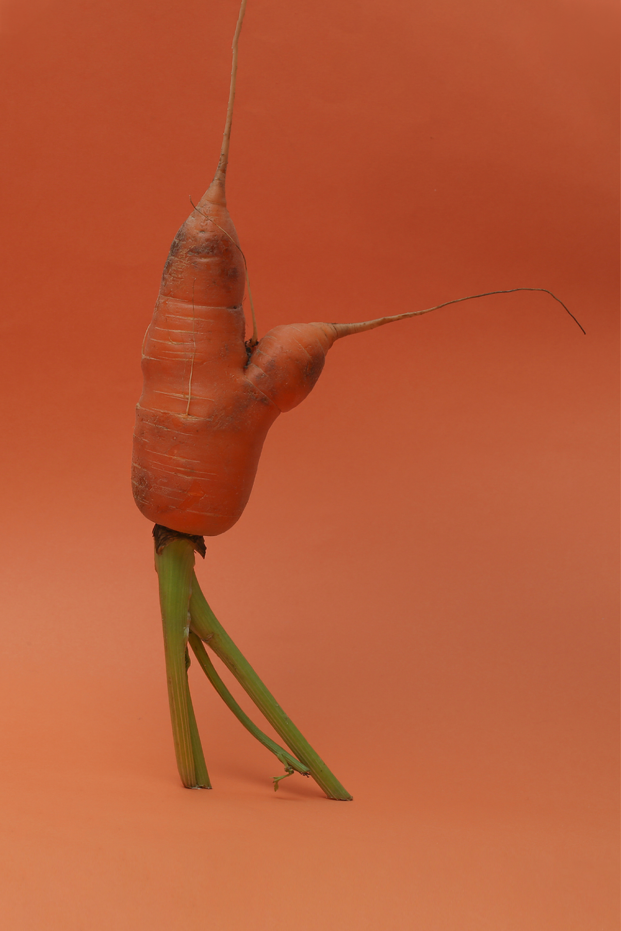 萝卜大作战（图ZMjMyNzc0NjY0） - 产品摄影 - 站酷设计师Foood原创素材 - 站酷ZCOOL