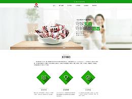 企业站改版