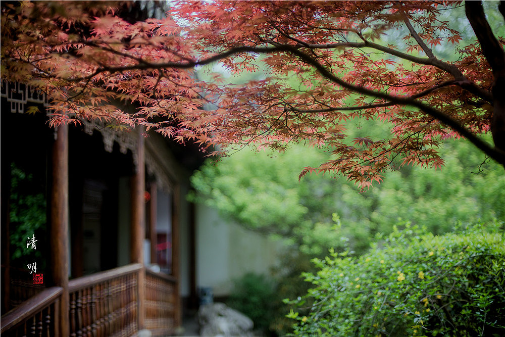 清明~（图ZMTExNjcwMjQ0） - 风光摄影 - 站酷设计师马丁的老相机原创素材 - 站酷ZCOOL