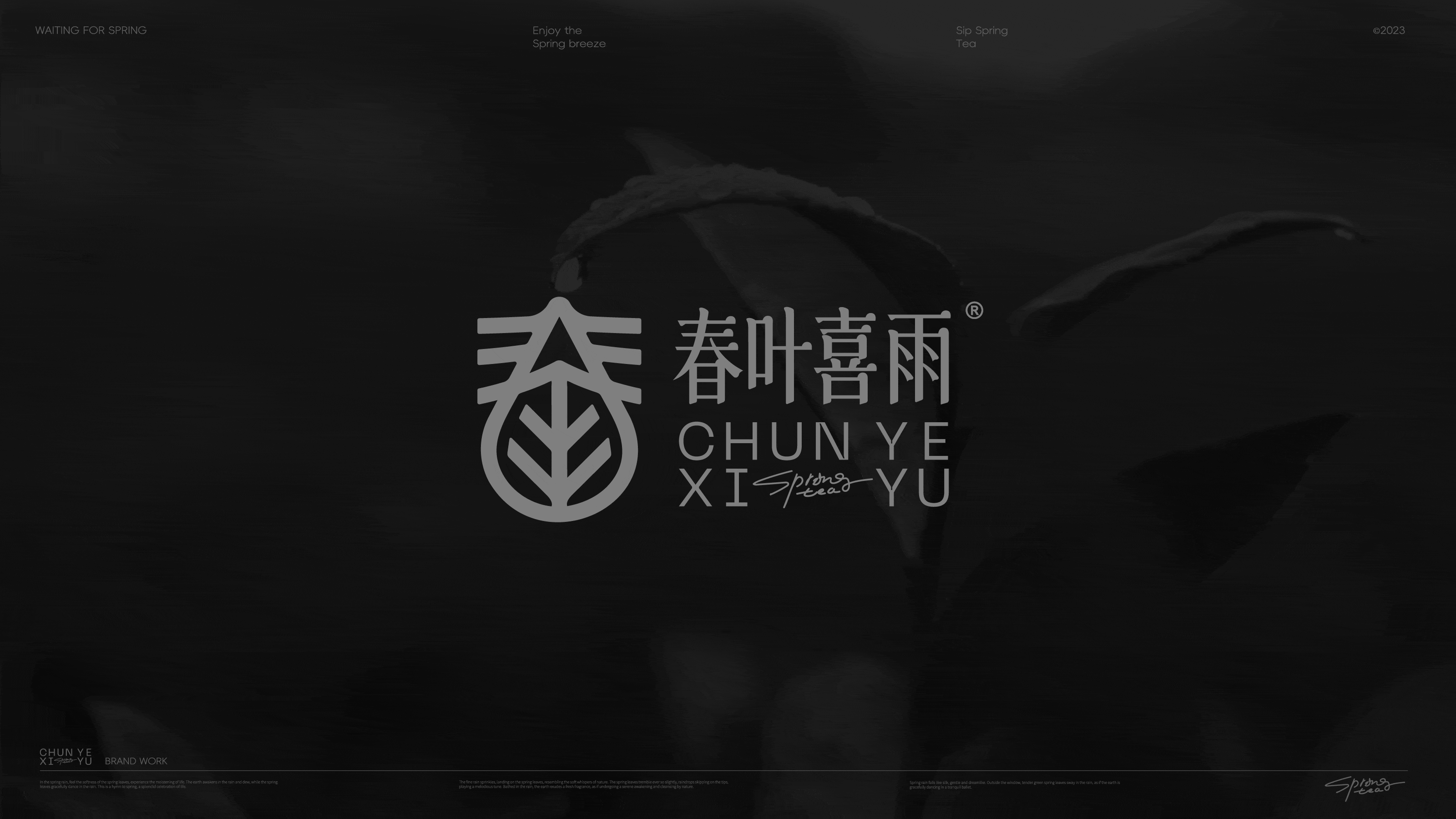 CHUNYEXIY春叶喜雨®品牌设计（图ZMzU5MDE3NjE2） - 品牌 - 站酷设计师GUUYU郭宇原创素材 - 站酷ZCOOL