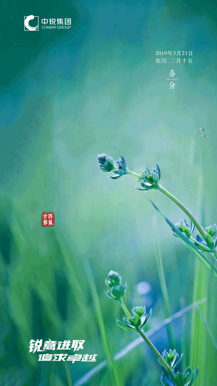 节日朋友圈海报（图ZMTY5NjI1MzY4） - 海报 - 站酷设计师sunny冷冬原创素材 - 站酷ZCOOL