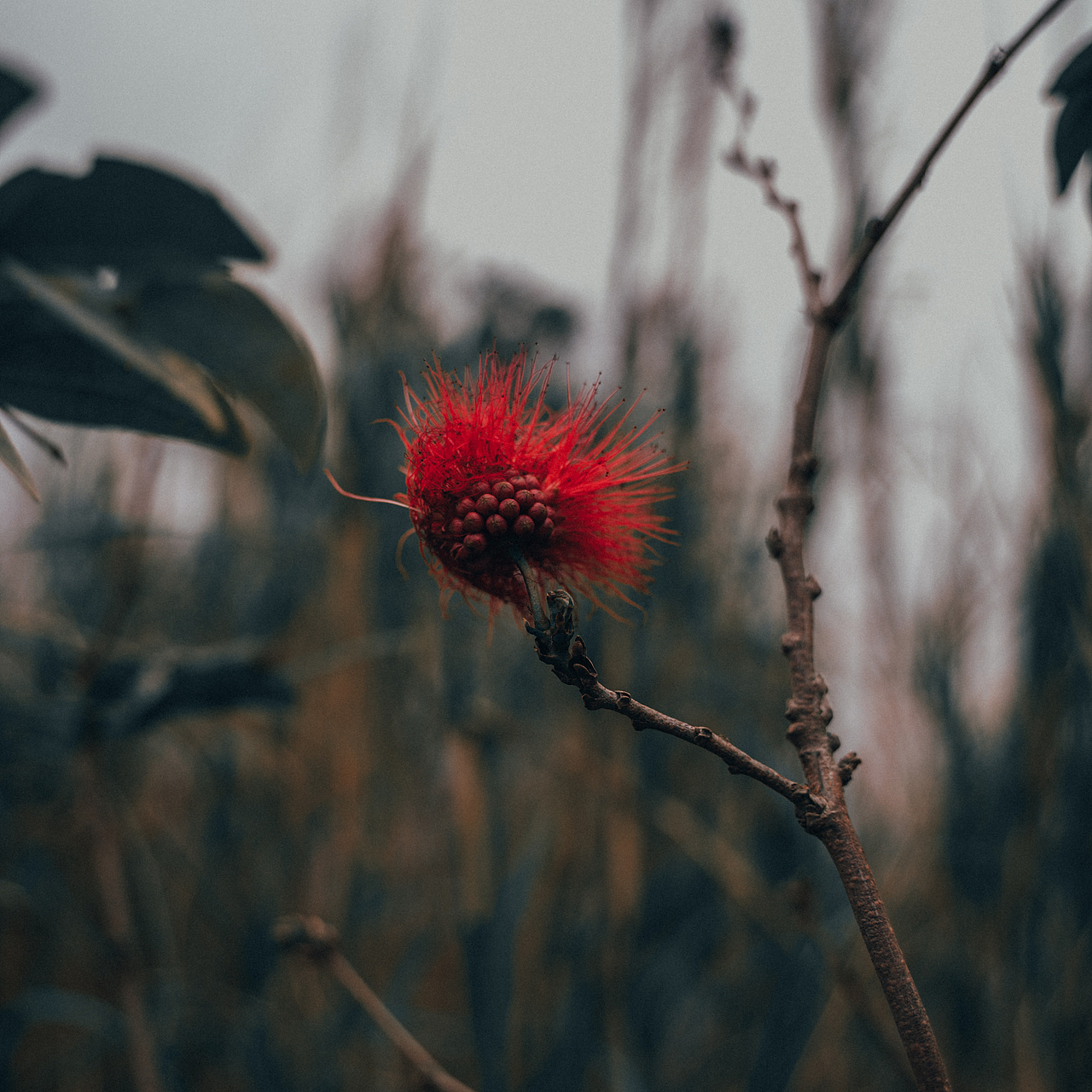 自己的路,自己欣赏。