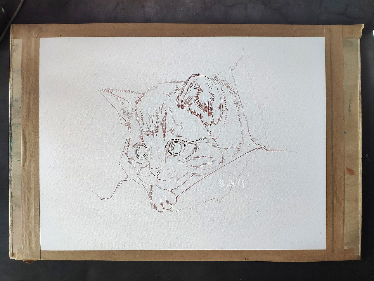 彩铅破纸而出的小猫|纯艺术|绘画|马行画彩铅_原创作品-站酷zcool