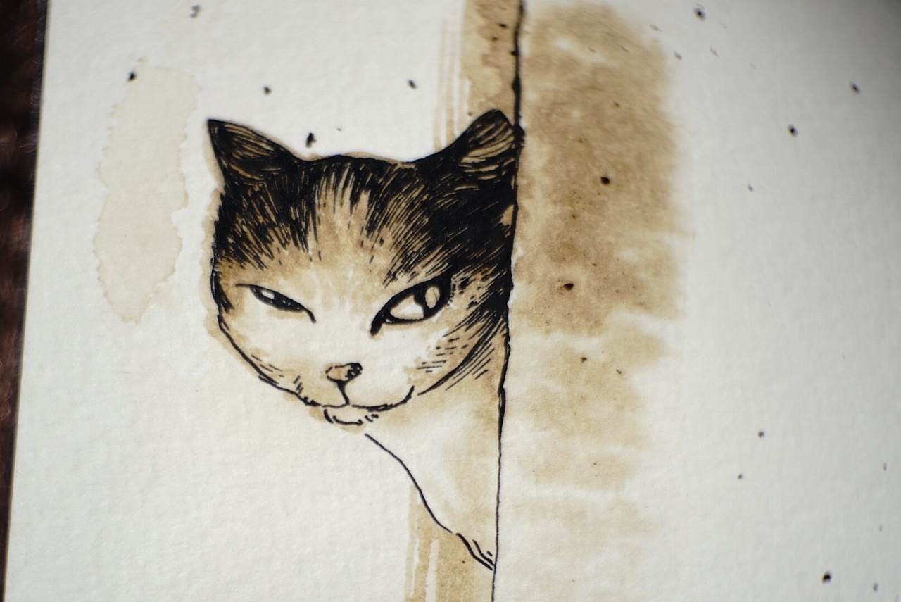 第一只猫（图ZMzMwMDQxNjQ=） - 商业插画 - 站酷设计师m-amp原创素材 - 站酷ZCOOL