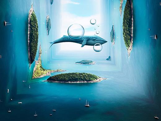 海报