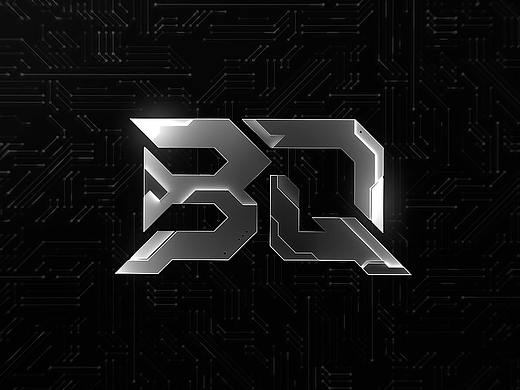 必趣科技品牌全案设计——BIQU