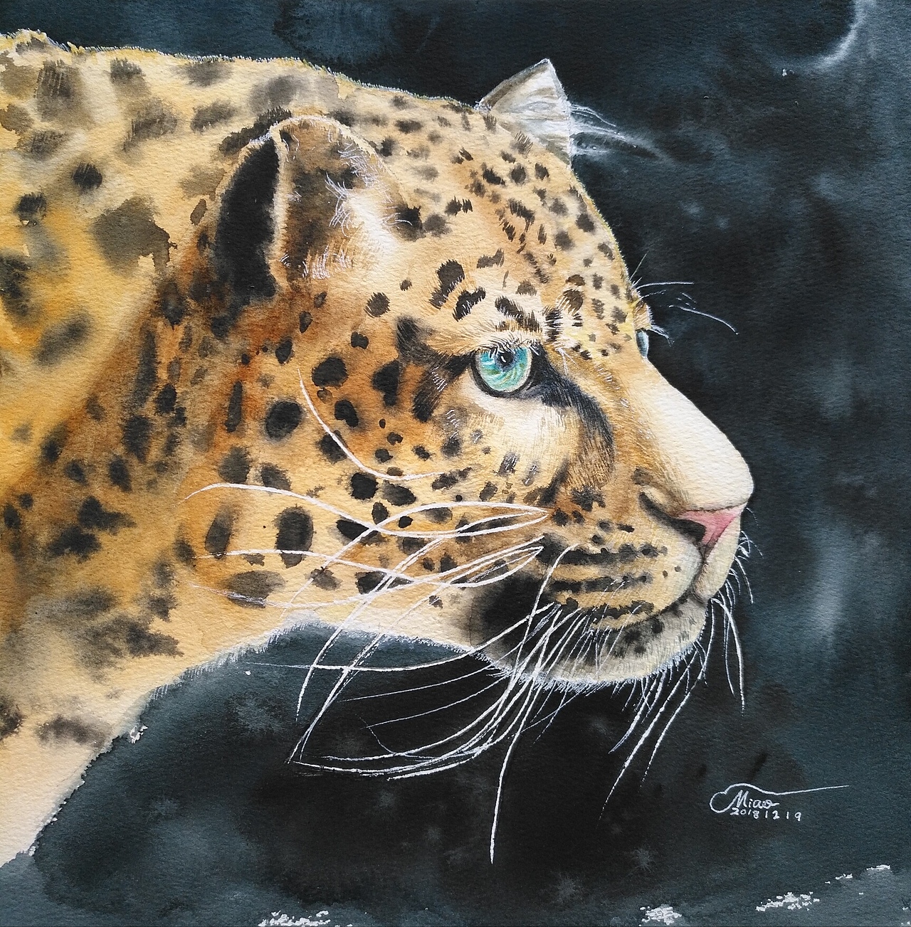 水彩豹子