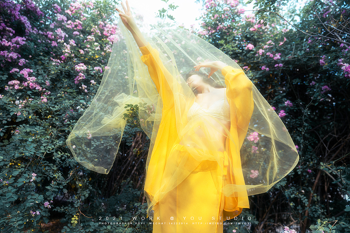 【有映画】春别