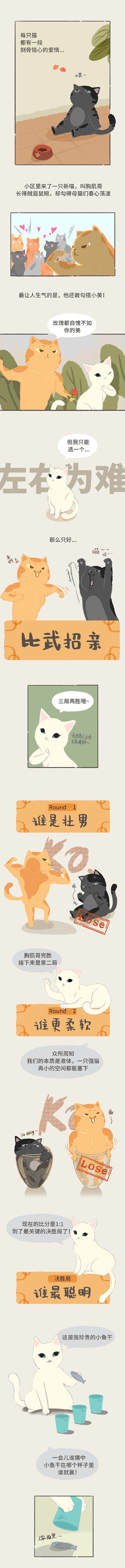 猫系列故事插画（图ZMTg1NzE5Mzky） - 艺术插画 - 站酷设计师MagicOS原创素材 - 站酷ZCOOL