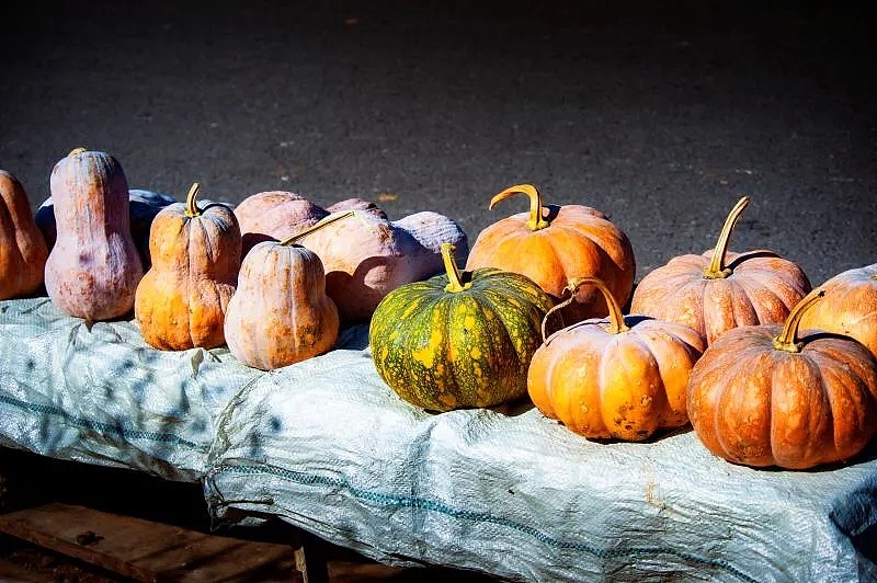 大山深处，收获的喜悦（图ZMjMzNDc2MzIw） - 风光摄影 - 站酷设计师JASON小郑原创素材 - 站酷ZCOOL