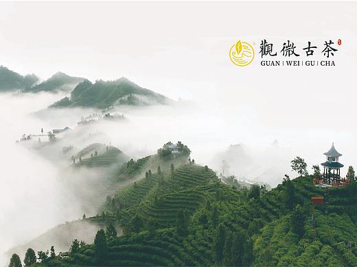 观微古茶VI品牌规范手册