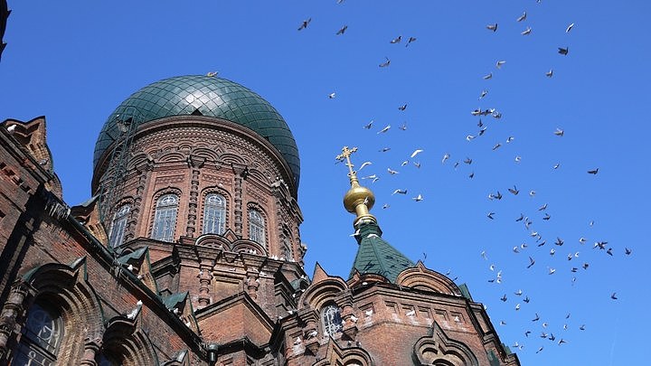 黏在家里 年在家里