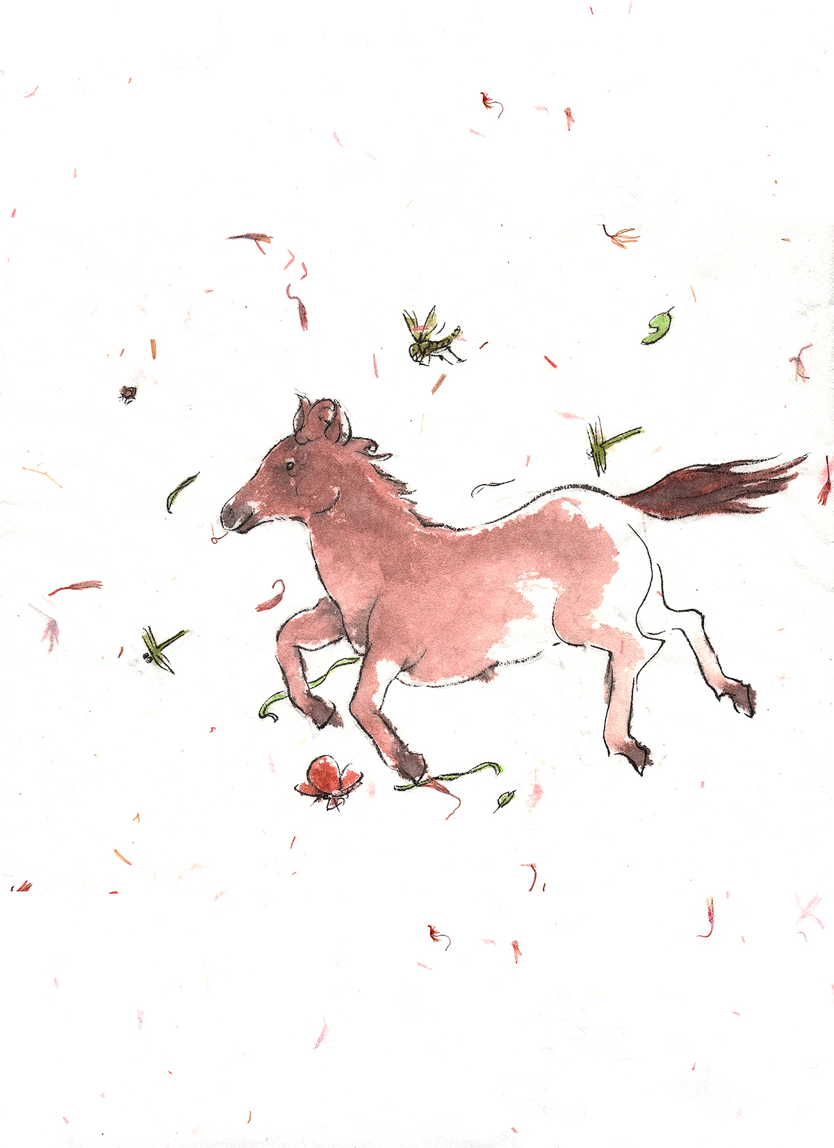 金曾豪《青角牛》部分插画（图ZMjE0MTE2MDg4） - 商业插画 - 站酷设计师旷野呼求原创素材 - 站酷ZCOOL