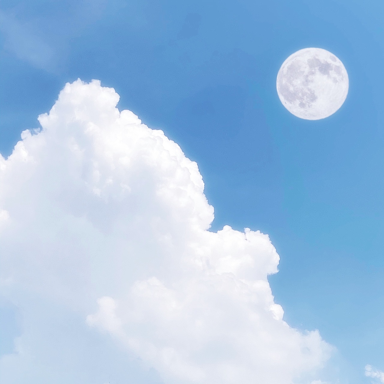 蓝天白云|美好事物|童话故事|创意摄影|威海|摄影师摄影师mrg0|0|15