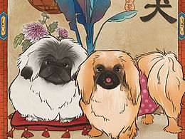 北京犬 曾经的皇室专属