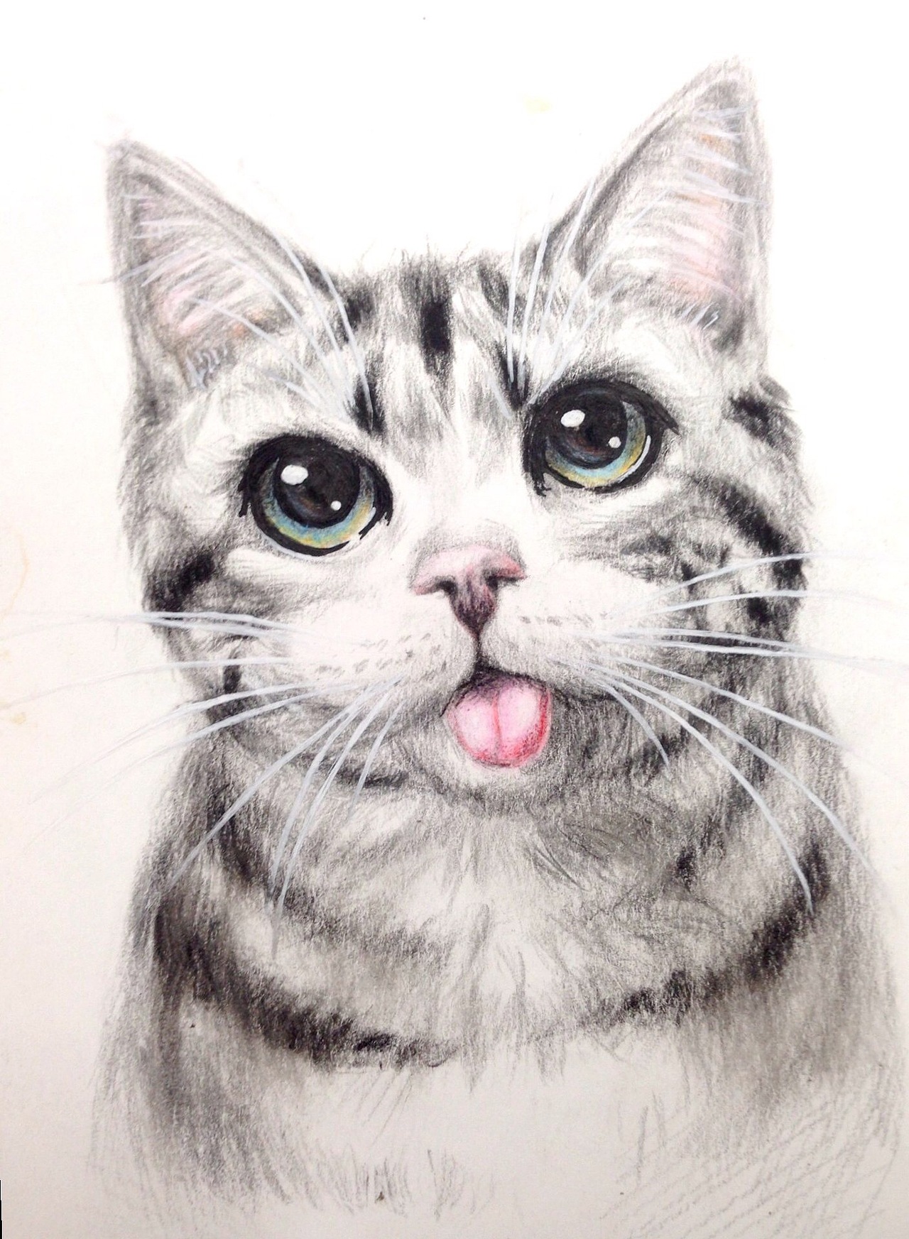 彩铅软萌猫（图ZNDI2NjExNDA=） - 绘画 - 站酷设计师Yokatee原创素材 - 站酷ZCOOL