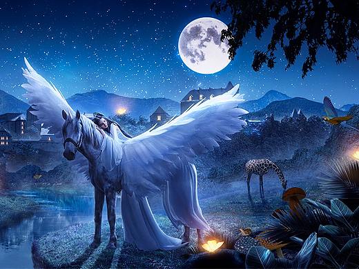 幻想骑着白马的女孩