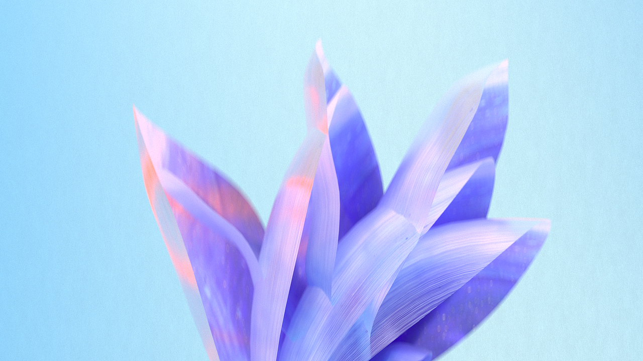 手机花瓣概念三维动画