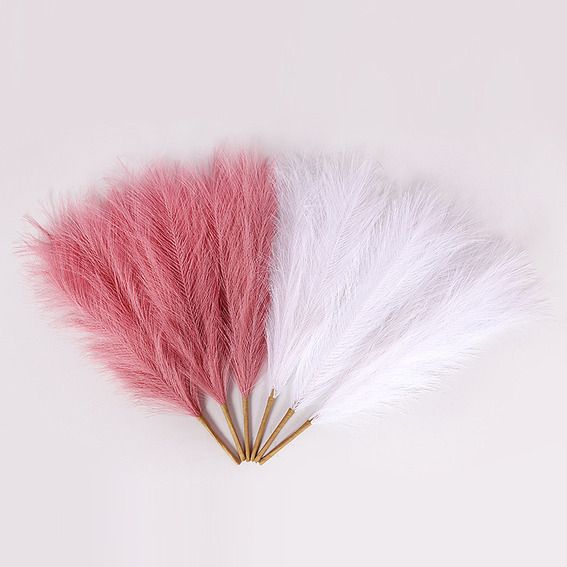 干植物（图ZMjc4MDIzMjQ0） - 时尚/艺术摄影 - 站酷设计师一块咸砖头原创素材 - 站酷ZCOOL