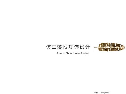 仿生灯具设计