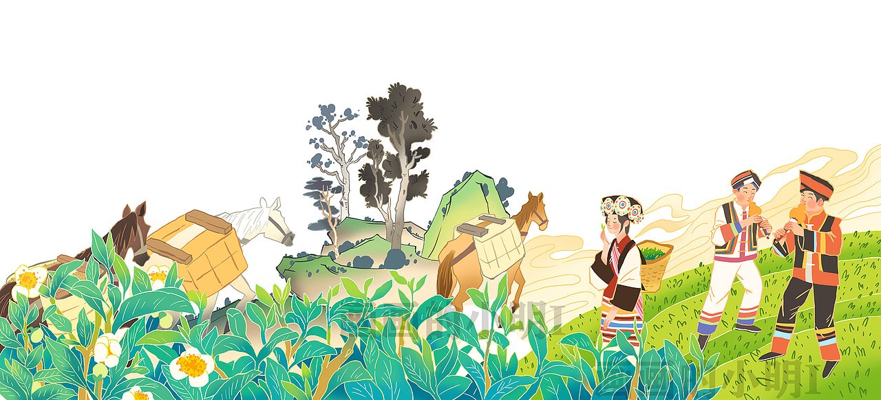 云南老马帮——“马上有茶”包装插画