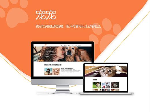 宠宠（个人主页-ZNDQ4MzI3NDg=） - 企业官网 - 站酷设计师阿昭呀原创素材 - 站酷ZCOOL