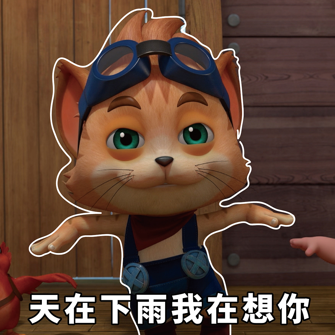 探探猫搞笑图片合集：说！你们是不是不爱我这只喵了！