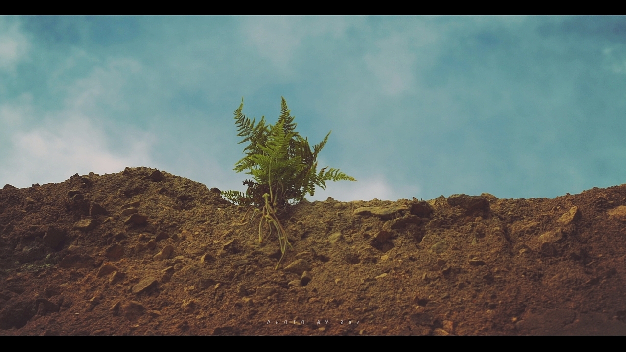 电影感摄影（图ZMjE3NTg0NTM2） - 人文/纪实摄影 - 站酷设计师IZZARD盜原创素材 - 站酷ZCOOL