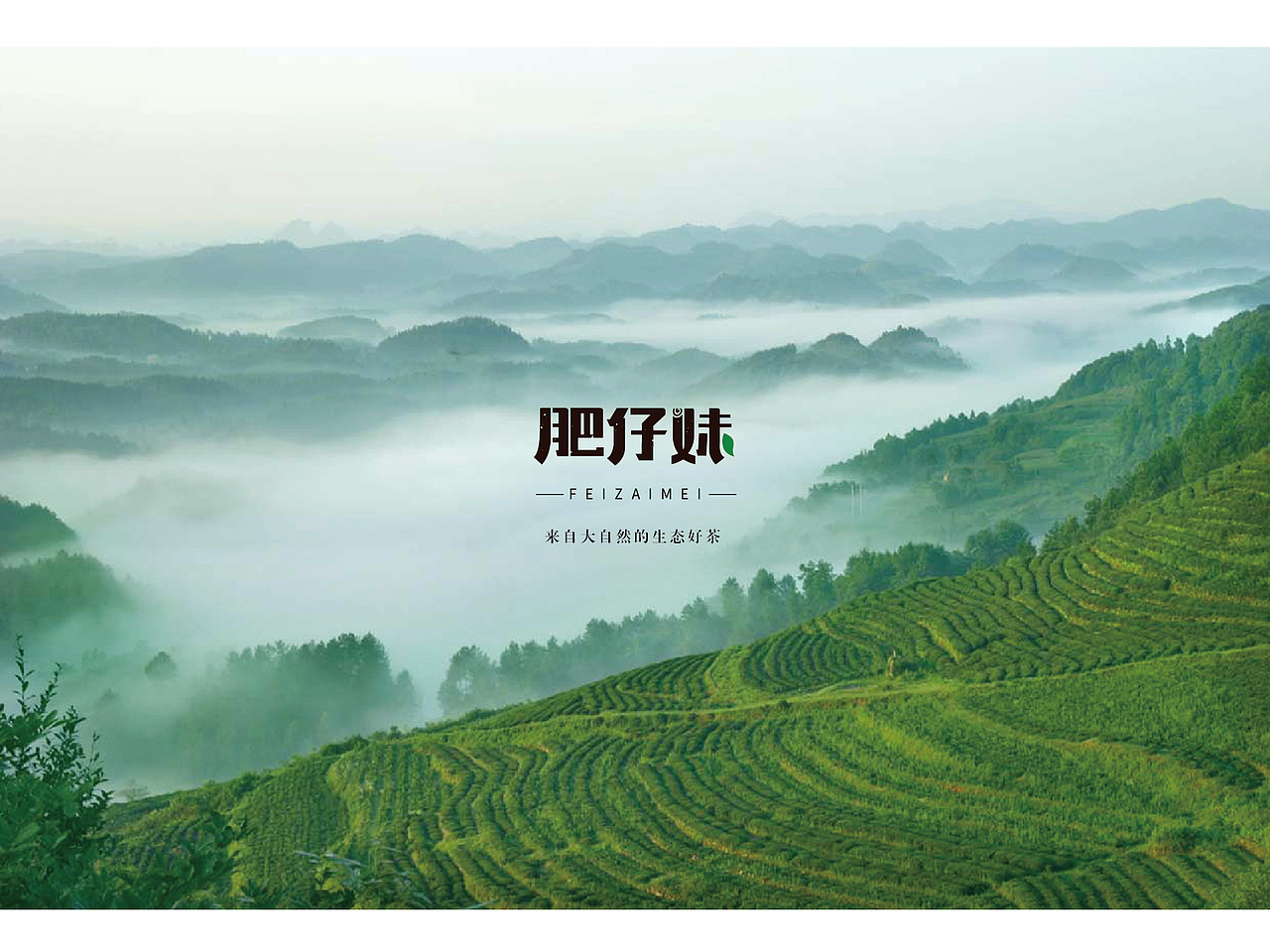 肥仔妹logo设计（图ZNjk4NDM5ODQ=） - Logo - 站酷设计师桃几嘻嘻原创素材 - 站酷ZCOOL