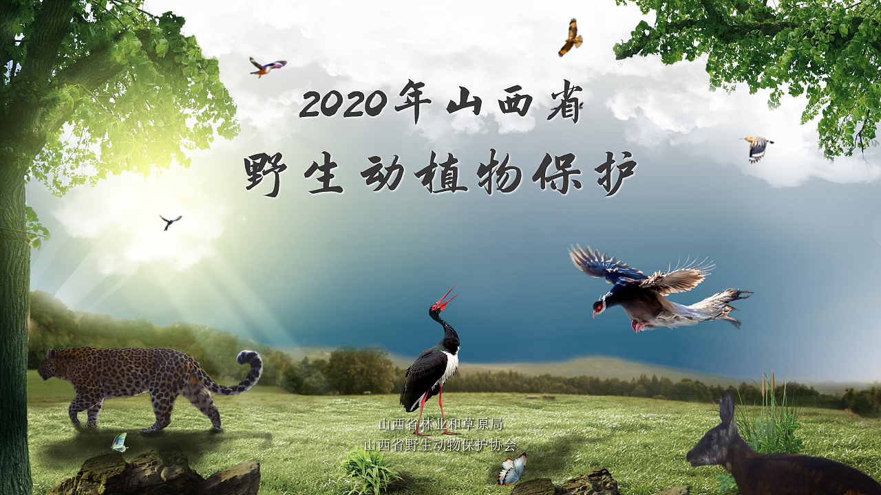 野生动植物保护