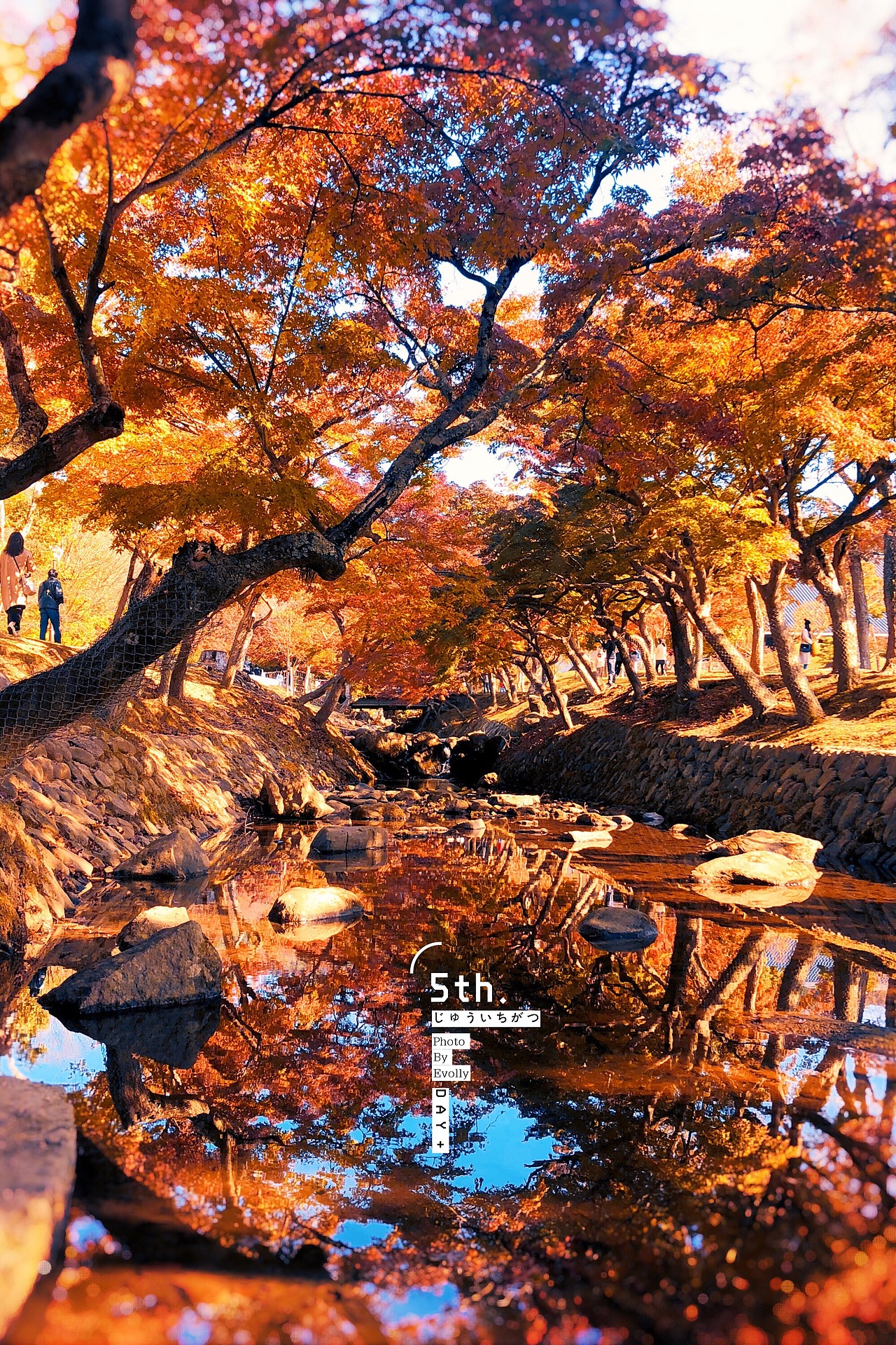 日本大阪行（图ZMTQzNjg2NDU2） - 风光摄影 - 站酷设计师Evolly悄悄原创素材 - 站酷ZCOOL