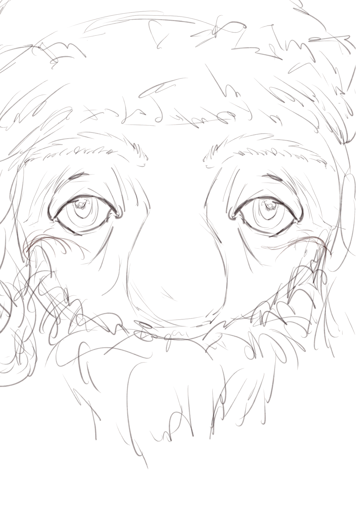 圣诞节主题插画（图ZMjgyNDU4OTA4） - 创作习作 - 站酷设计师je_suis原创素材 - 站酷ZCOOL