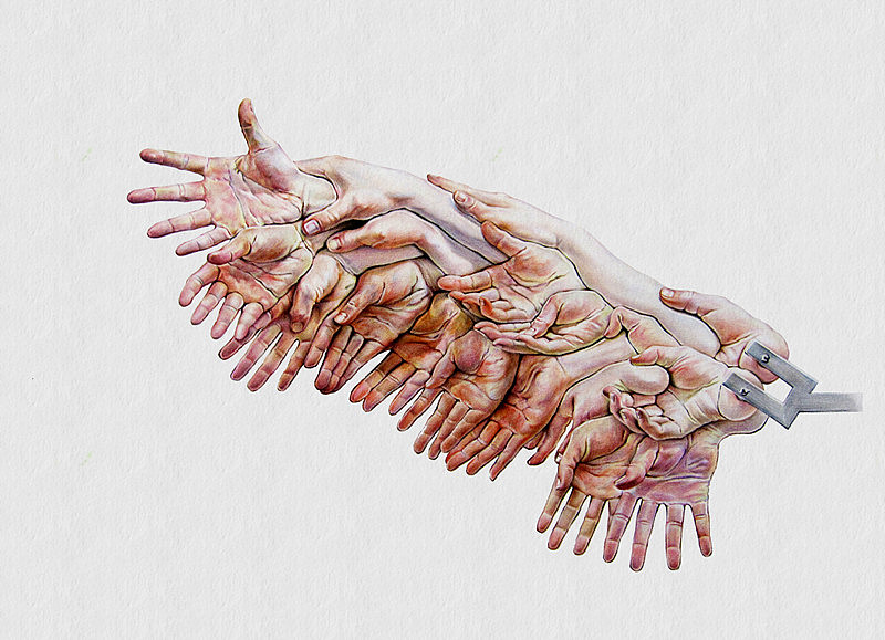 李小葱《手羽》--彩铅画（图ZNDUzMDY2NA==） - 绘画 - 站酷设计师超超的青葱原创素材 - 站酷ZCOOL