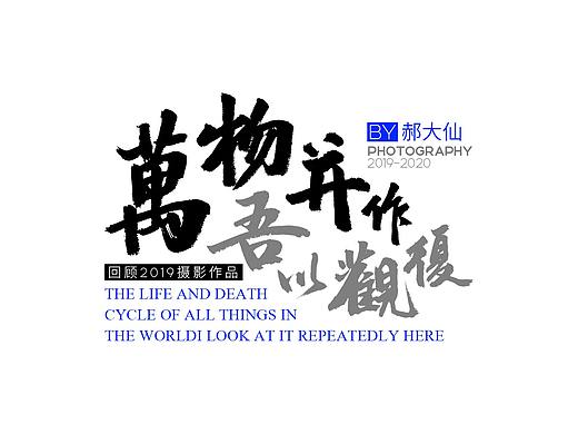 万物并作 |  回顾2019摄影作品