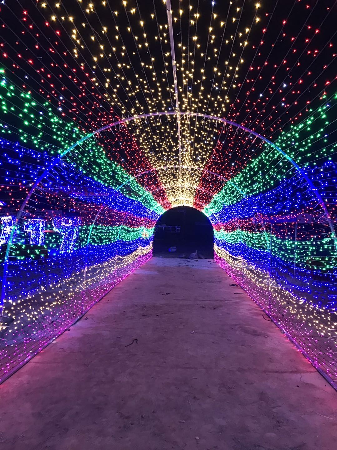 灯光展新款通道造型灯户外景区公园农场大型景观灯厂家