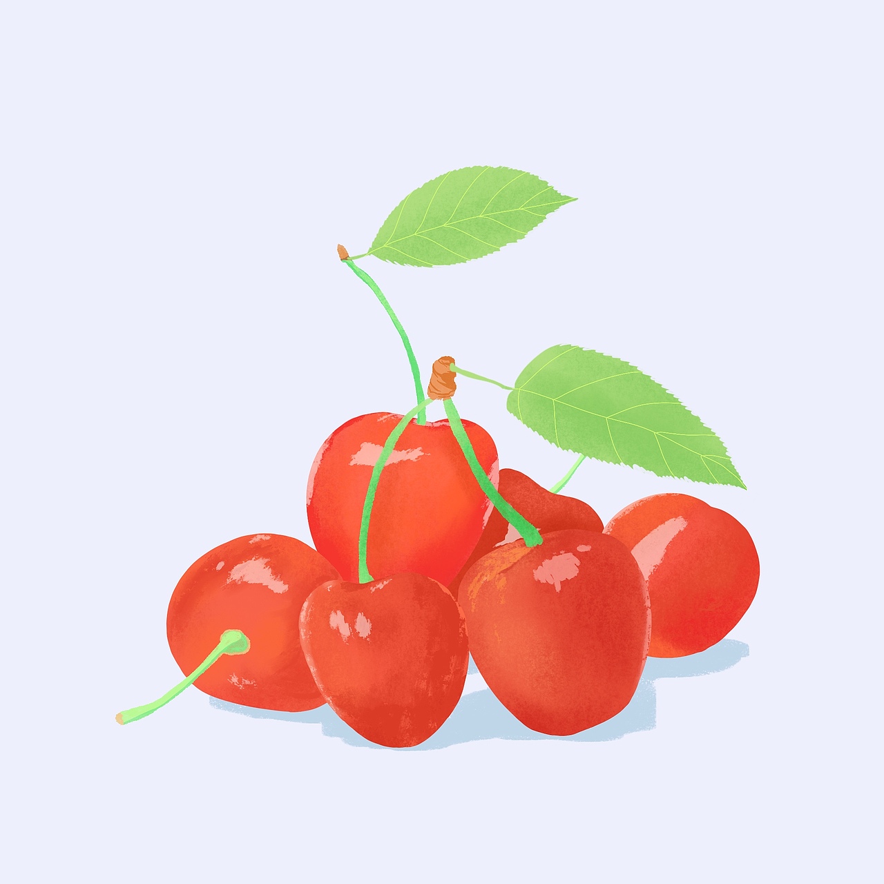 动植物人物练习30天小结（图ZMjc2MjQ1MzIw） - 商业插画 - 站酷设计师画画的大伟原创素材 - 站酷ZCOOL