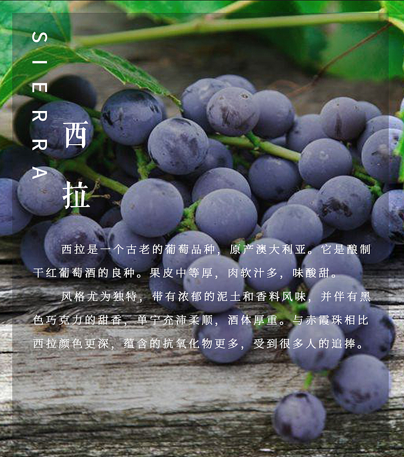 澳洲进口西拉葡萄酒红酒电商网页设计红酒详情页