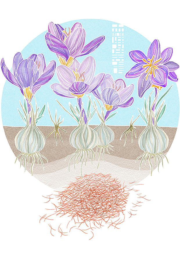 植物与我们的关系充满了秘密式的奇迹（图ZNzQ4OTAzMjQ=） - 商业插画 - 站酷设计师森特笑虎原创素材 - 站酷ZCOOL