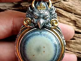 大鵬金翅 羊板眼珠