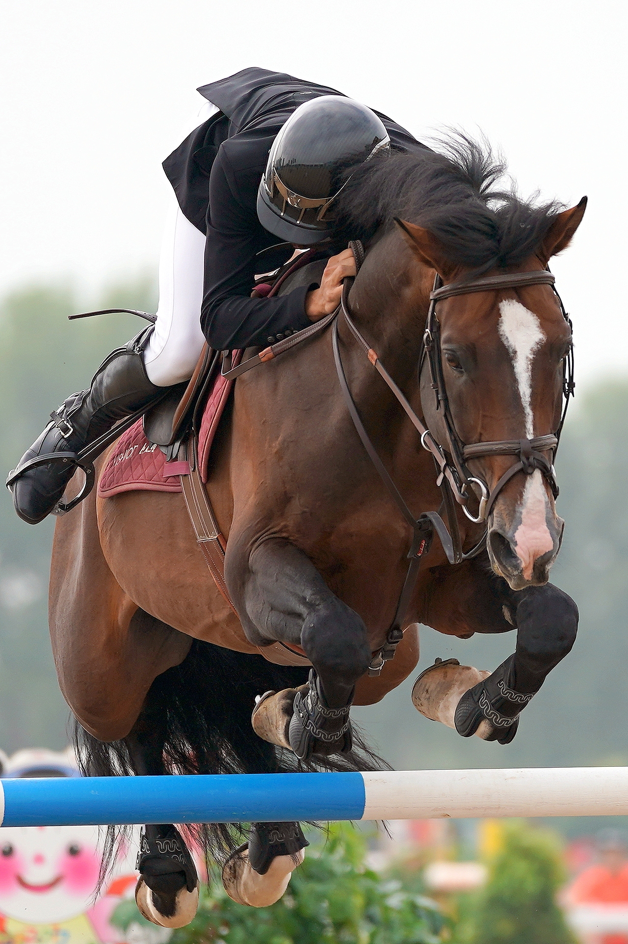 马术|摄影|其他摄影|bjghs2018_原创作品-站酷zcool