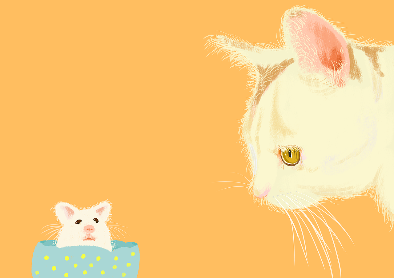 仓鼠和猫（图ZMTAxOTg1NzY4） - 创作习作 - 站酷设计师Lihanan原创素材 - 站酷ZCOOL