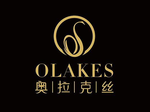 奥拉克丝－高端医美整形ＶＩ形象设计定制