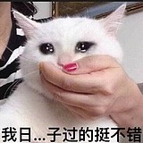 二氧化碳丶的头像