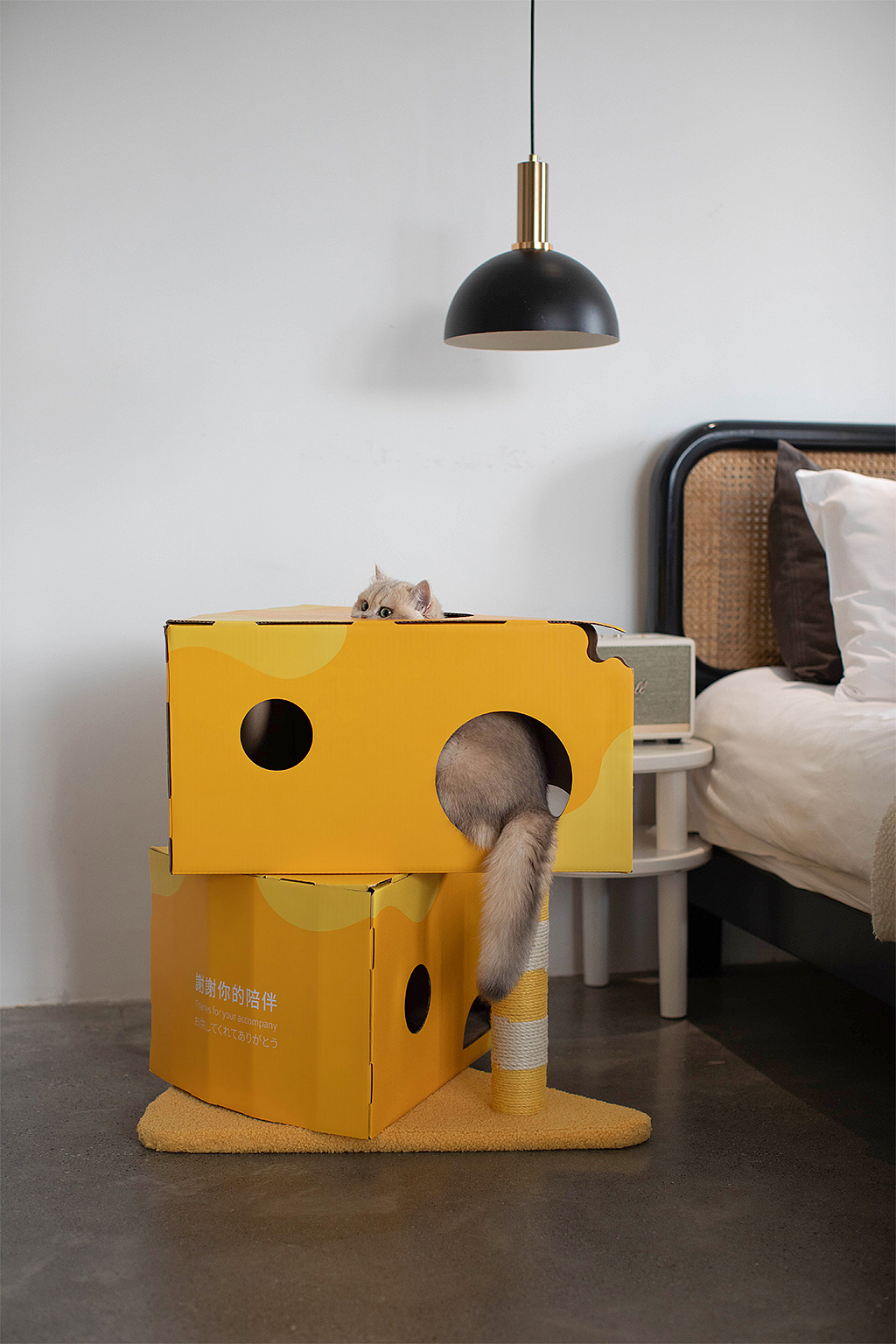 猫爬架纸箱设计