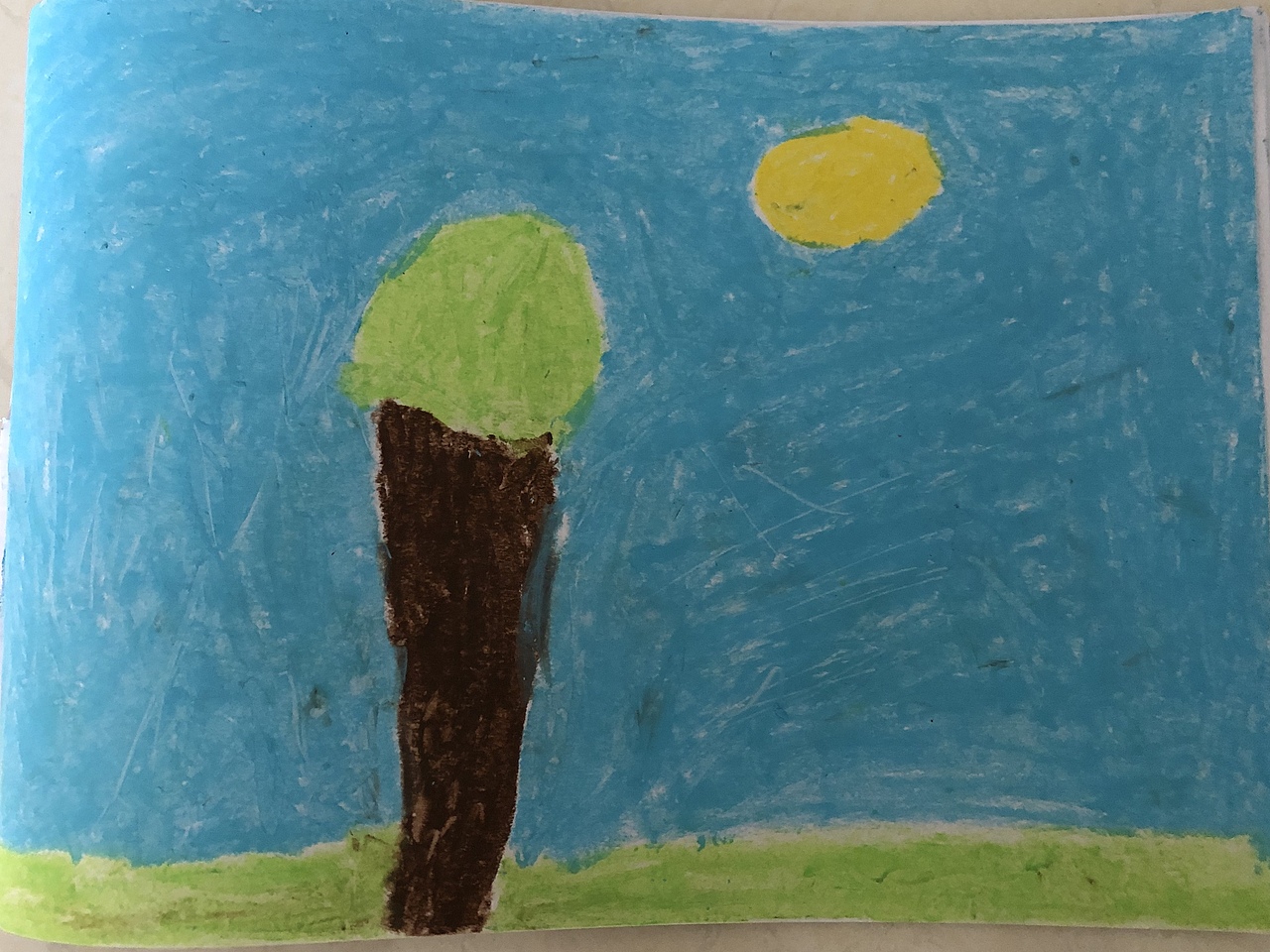 儿童画:太阳和树