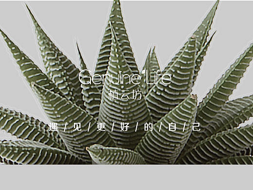 护肤品