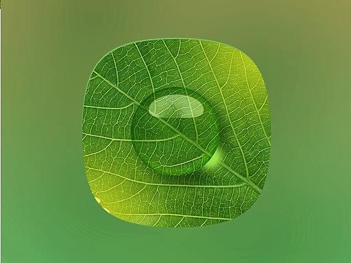 临摹-绿叶水滴子