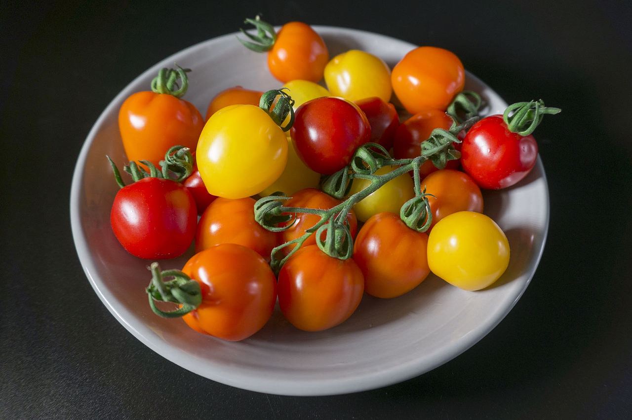 【小番茄】第一次拍摄