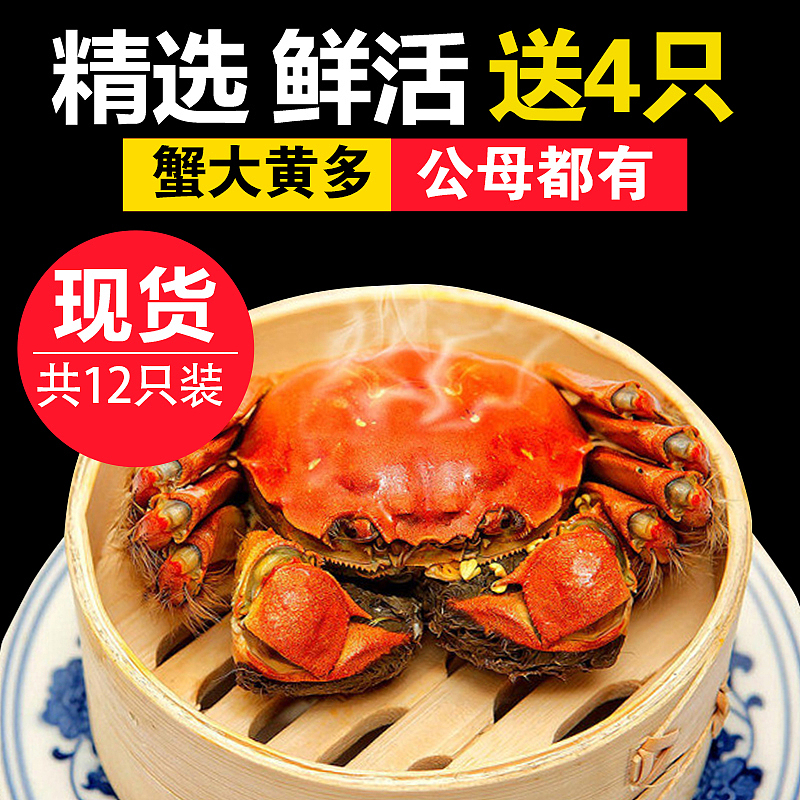 1月（图ZNzI2NDcwMjg=） - 图案 - 站酷设计师瑞艺花型设计原创素材 - 站酷ZCOOL